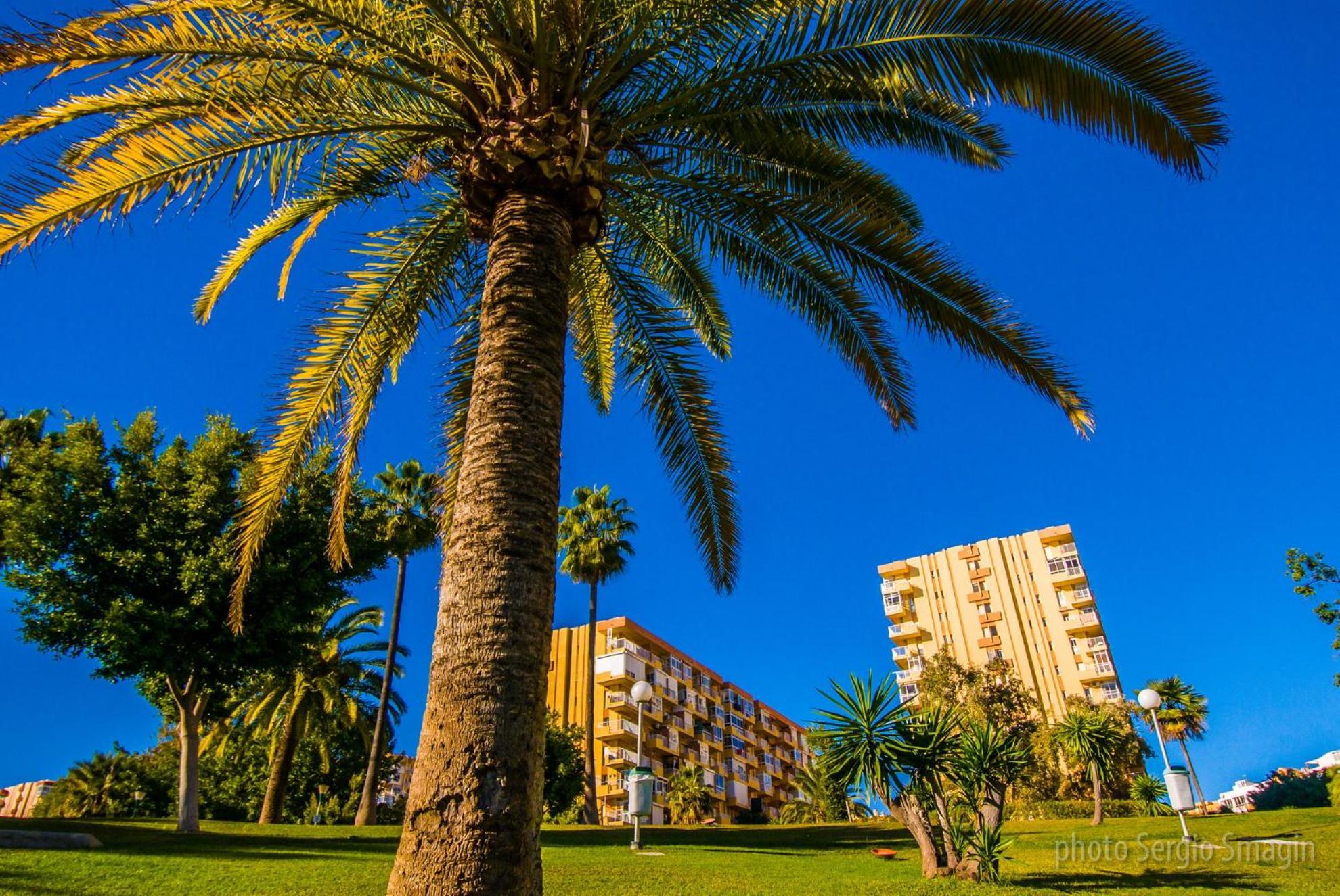 102 Estudio En Jupiter Apartmentos - Piscina Y Playa - Excelente Ubicacion Appartement